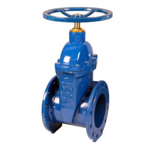 Flanged Gate Valves