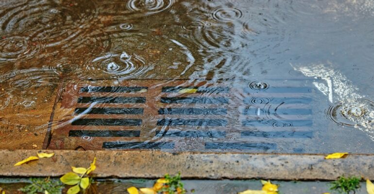 shutterstock_2453460479.jpg shutterstock_2453460479.jpg